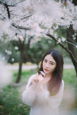 星空影院电视剧免费播放